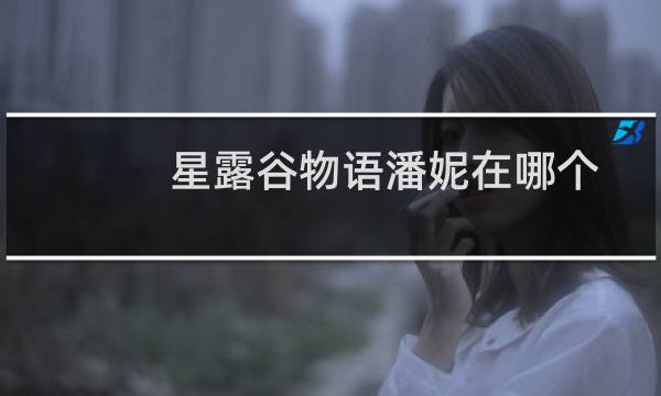 星露谷物语潘妮在哪个