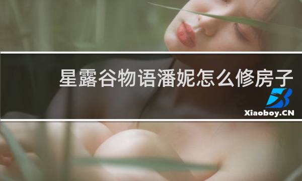 星露谷物语潘妮怎么修房子