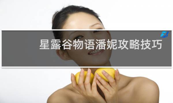 星露谷物语潘妮攻略技巧