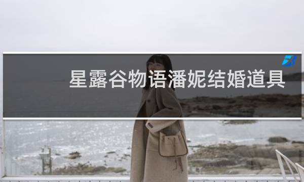 星露谷物语潘妮结婚道具