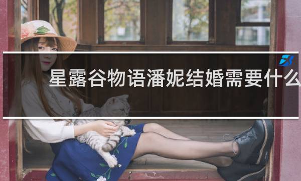 星露谷物语潘妮结婚需要什么