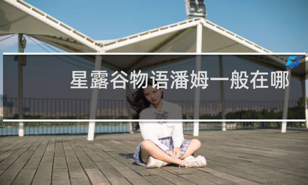 星露谷物语潘姆一般在哪