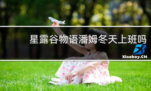 星露谷物语潘姆冬天上班吗