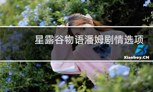 星露谷物语潘姆剧情选项