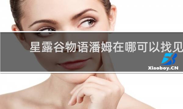 星露谷物语潘姆在哪可以找见