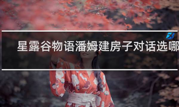 星露谷物语潘姆建房子对话选哪个