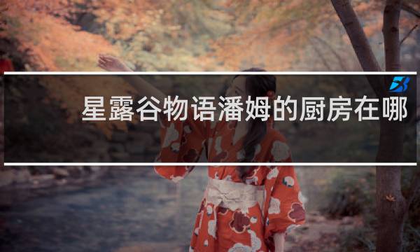 星露谷物语潘姆的厨房在哪