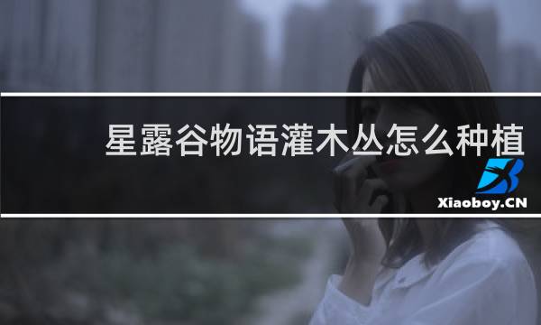 星露谷物语灌木丛怎么种植