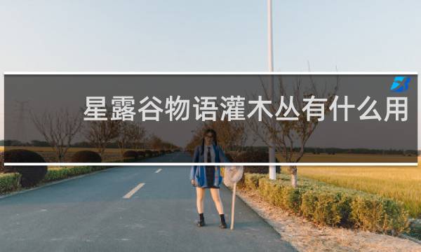 星露谷物语灌木丛有什么用