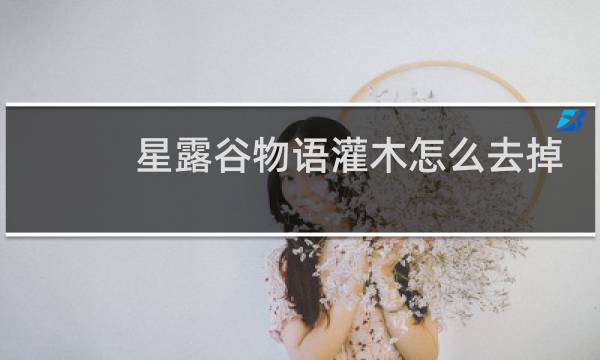 星露谷物语灌木怎么去掉