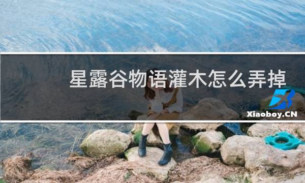星露谷物语灌木怎么弄掉