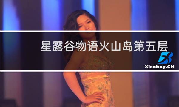 星露谷物语火山岛第五层