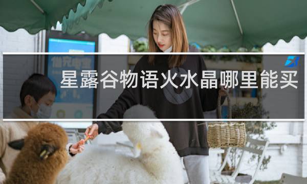 星露谷物语火水晶哪里能买