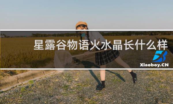 星露谷物语火水晶长什么样