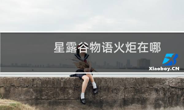 星露谷物语火炬在哪