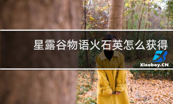 星露谷物语火石英怎么获得