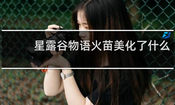星露谷物语火苗美化了什么