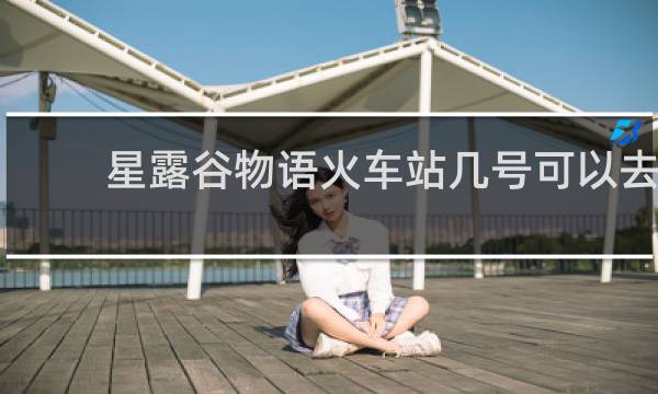 星露谷物语火车站几号可以去
