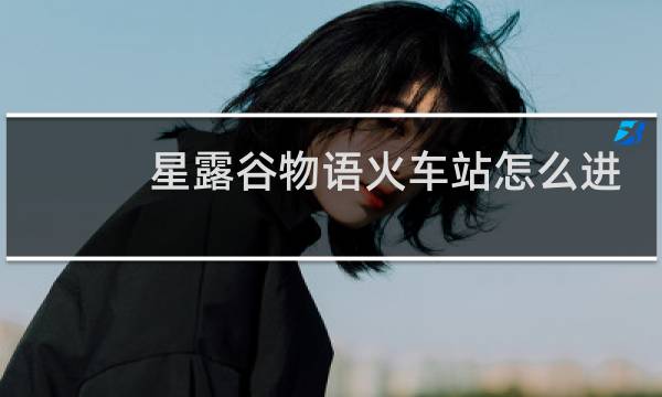 星露谷物语火车站怎么进