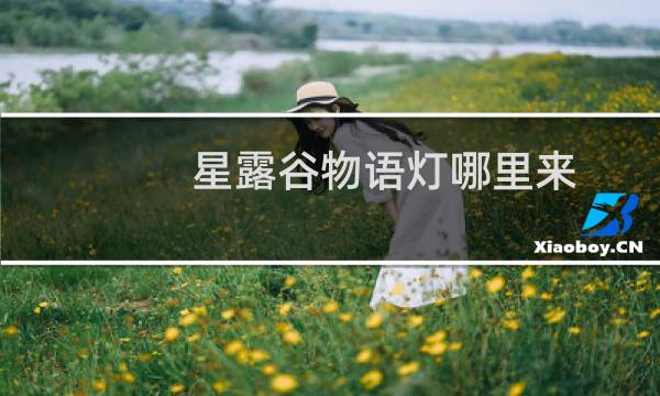 星露谷物语灯哪里来