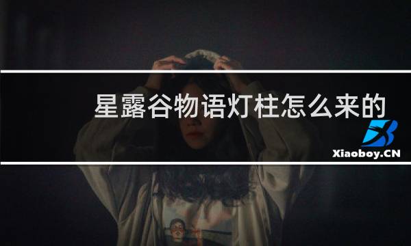 星露谷物语灯柱怎么来的