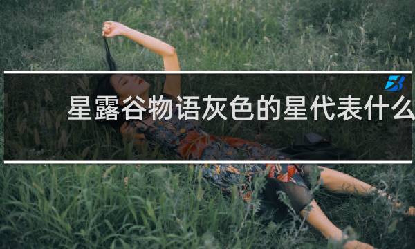 星露谷物语灰色的星代表什么