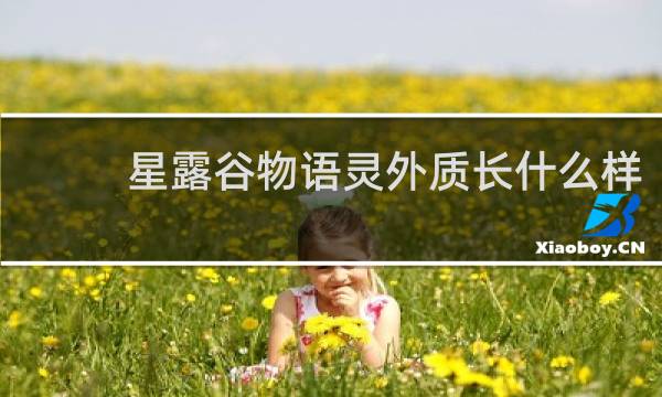 星露谷物语灵外质长什么样