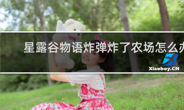 星露谷物语炸弹炸了农场怎么办