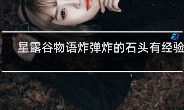 星露谷物语炸弹炸的石头有经验吗