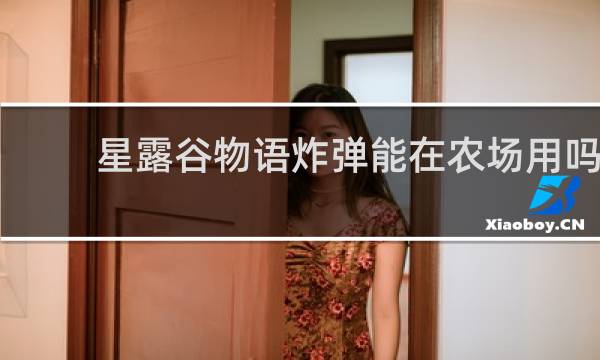 星露谷物语炸弹能在农场用吗