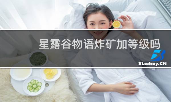 星露谷物语炸矿加等级吗