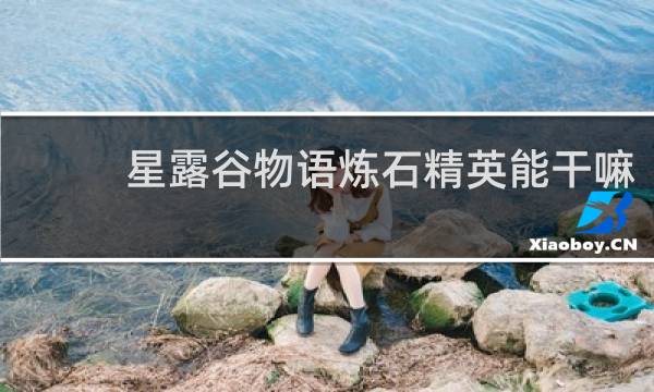 星露谷物语炼石精英能干嘛