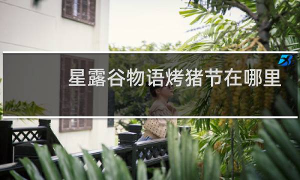 星露谷物语烤猪节在哪里