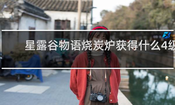 星露谷物语烧炭炉获得什么4级