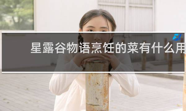 星露谷物语烹饪的菜有什么用