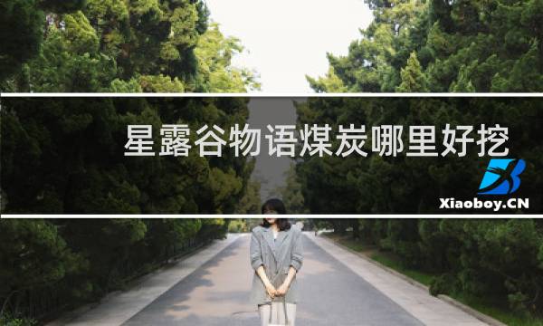 星露谷物语煤炭哪里好挖