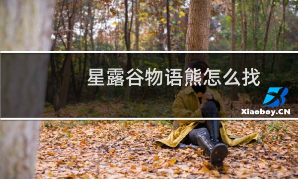 星露谷物语熊怎么找