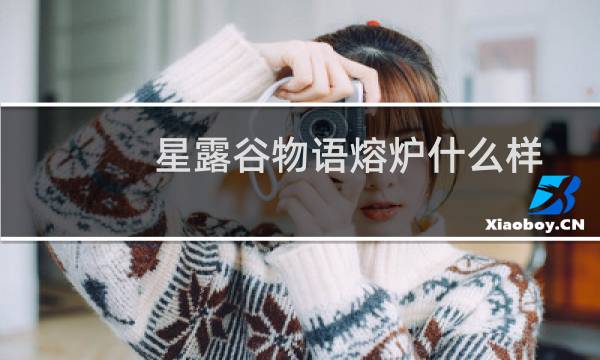 星露谷物语熔炉什么样