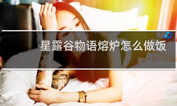 星露谷物语熔炉怎么做饭
