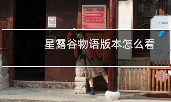 星露谷物语版本怎么看 图