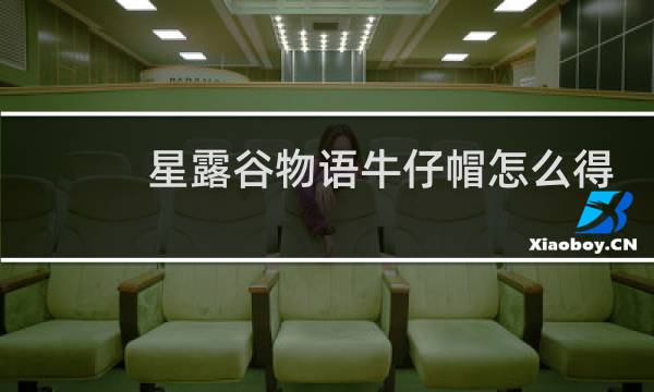 星露谷物语牛仔帽怎么得