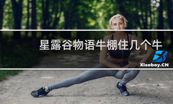 星露谷物语牛棚住几个牛