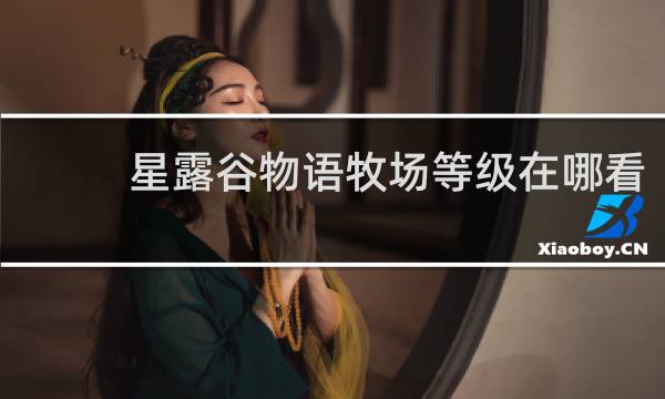 星露谷物语牧场等级在哪看
