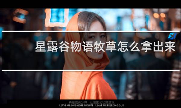 星露谷物语牧草怎么拿出来