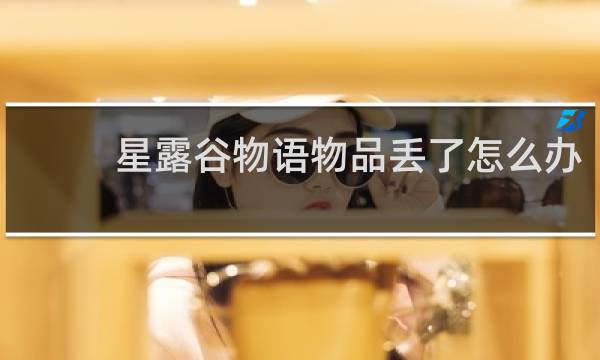 星露谷物语物品丢了怎么办