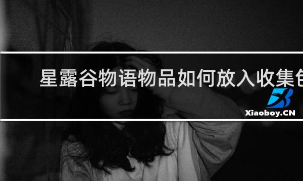 星露谷物语物品如何放入收集包