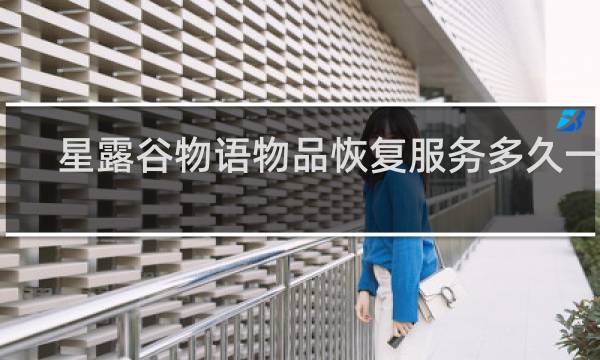 星露谷物语物品恢复服务多久一次