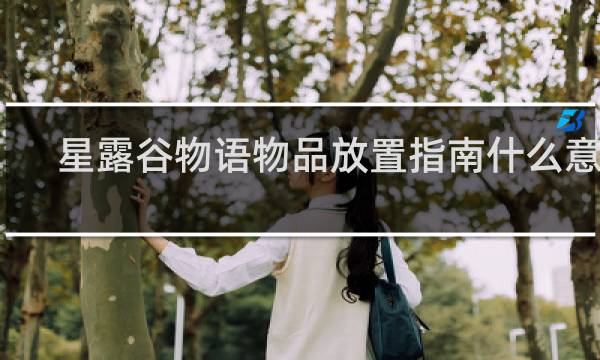 星露谷物语物品放置指南什么意思