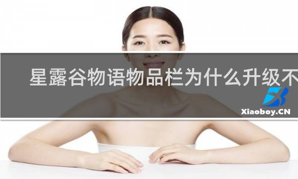 星露谷物语物品栏为什么升级不了