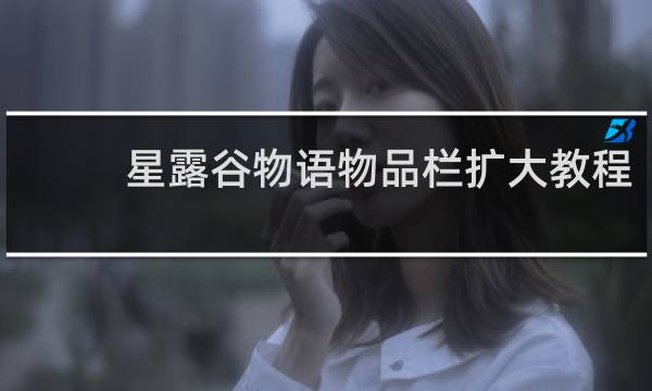 星露谷物语物品栏扩大教程